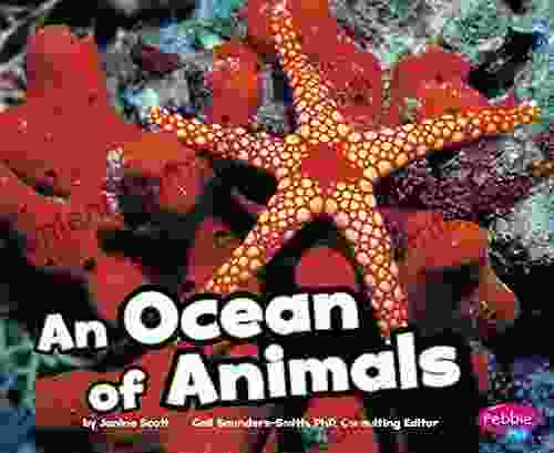 An Ocean of Animals (Habitats around the World)