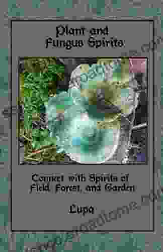 Plant And Fungus Spirits: Connect With Spirits Of Field Forest And Garden