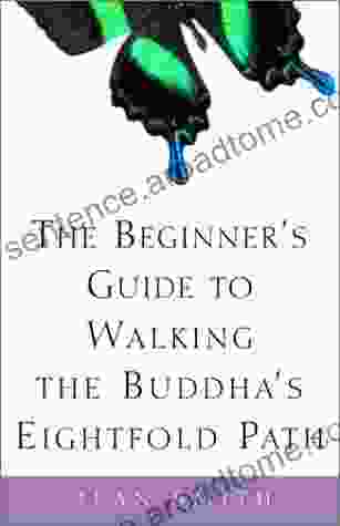 The Beginner s Guide to Walking the Buddha s Eightfold Path