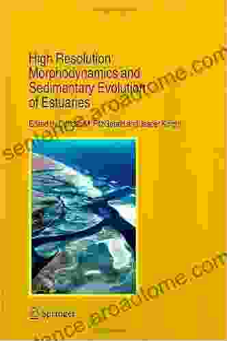 High Resolution Morphodynamics and Sedimentary Evolution of Estuaries (Coastal Systems and Continental Margins 8)