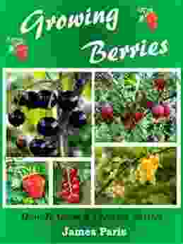 Growing Berries: How To Grow Preserve Strawberries Raspberries Blackberries Blueberries Gooseberries Redcurrants Blackcurrants Whitecurrants (Food Preservation)