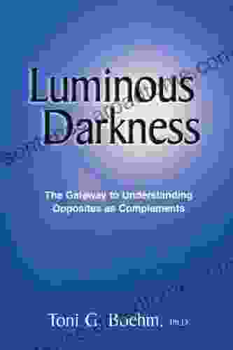 Luminous Darkness Toni G Boehm