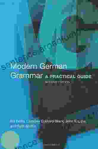 Modern Dutch Grammar: A Practical Guide (Modern Grammars)