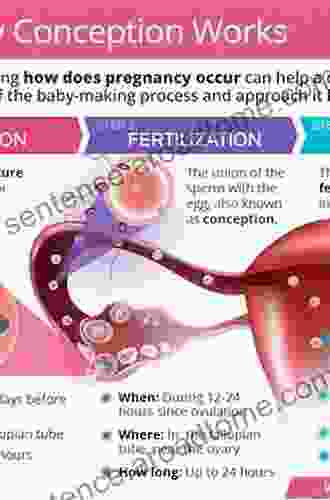The Child S Conception Of Time