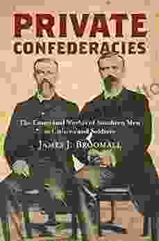 Private Confederacies: The Emotional Worlds Of Southern Men As Citizens And Soldiers (Civil War America)