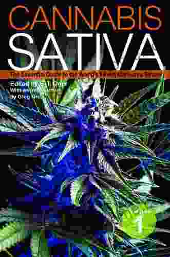 Cannabis Sativa: The Essential Guide To The World S Finest Marijuana Strains