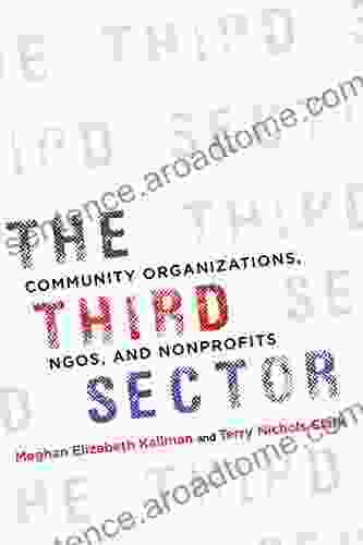 The Third Sector: Community Organizations NGOs And Nonprofits