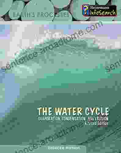 The Water Cycle (Earth S Processes)