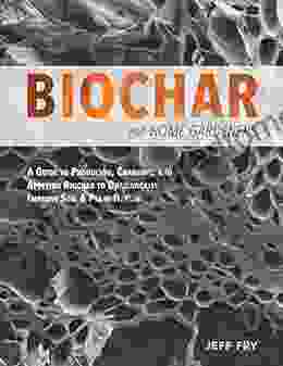 Biochar for Home Gardeners: A Guide to Producing Charging and Applying Biochar to Dramatically Improve Soil and Plant Health