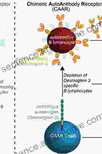 Translational Autoimmunity: Treatment Of Autoimmune Diseases (Translational Immunology)