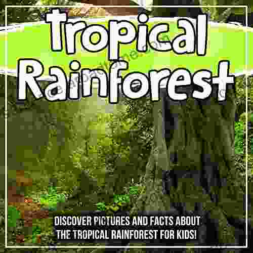 Tropical Rainforest: Discover Pictures and Facts About The Tropical Rainforest For Kids