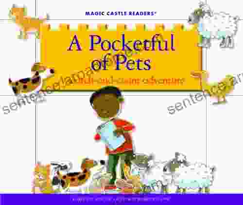A Pocketful Of Pets: A Search And Count Adventure (Magic Castle Readers)