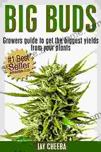 Marijuana Horticulture: Big Buds Growers guide to get the biggest yields from your plants (Growing Marijuana Marijuana Cultivation Cannabis Medical Marijuana Marijuana Horticulture)