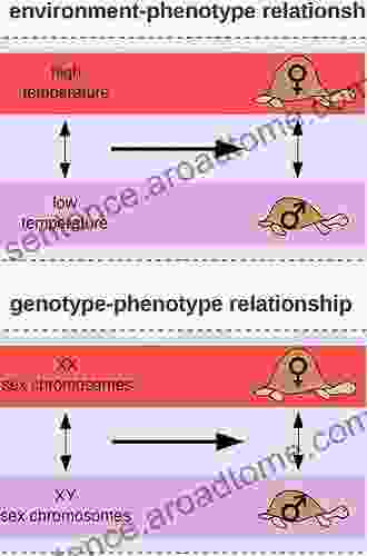 A Probabilistic Model Of The Genotype/Phenotype Relationship: Does Life Play The Dice?