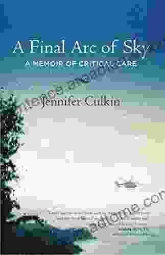 A Final Arc Of Sky: A Memoir Of Critical Care