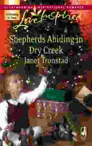 Shepherds Abiding in Dry Creek: A Fresh Start Family Romance